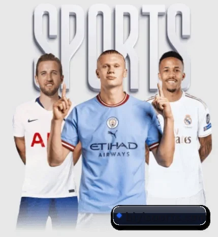 必一体育 APP(BSports)